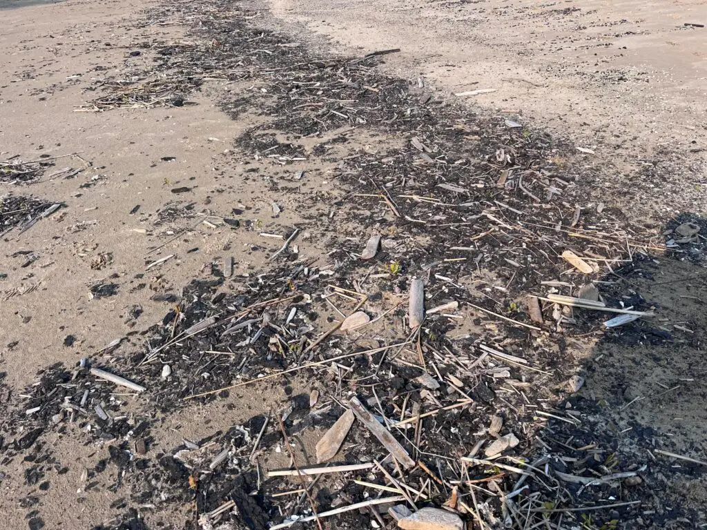 Lake Huron Beach in need of Cleaning