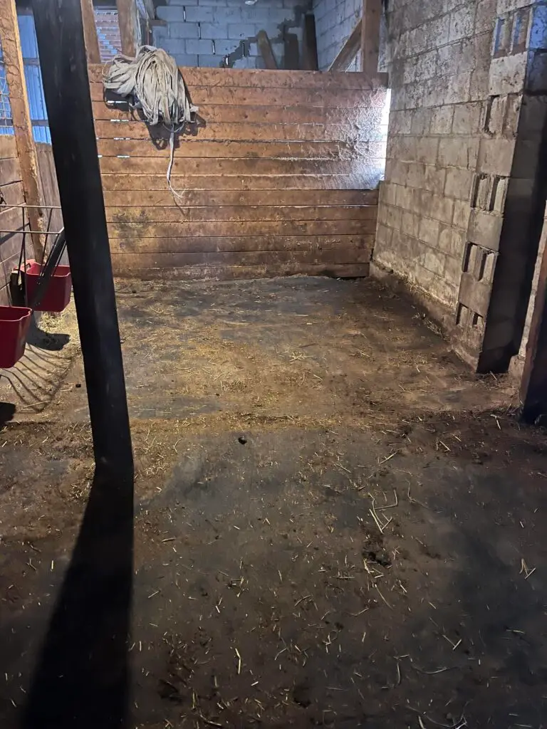 Horse Stable After Cleaning