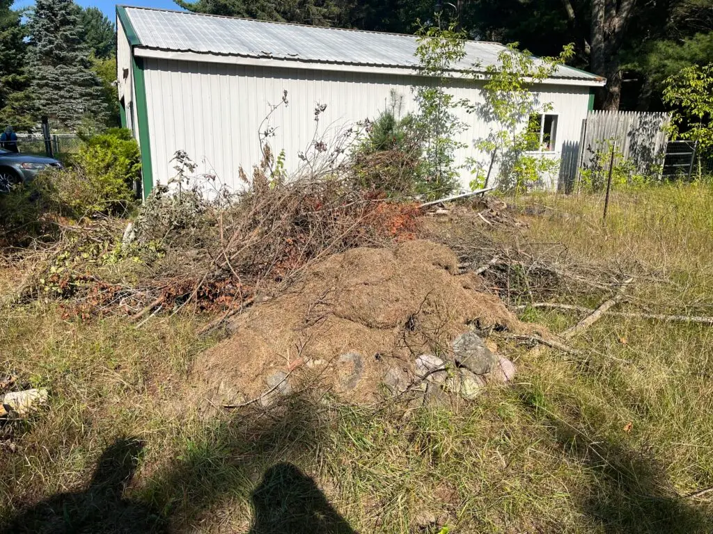 Brush Pile Removal - Before Service