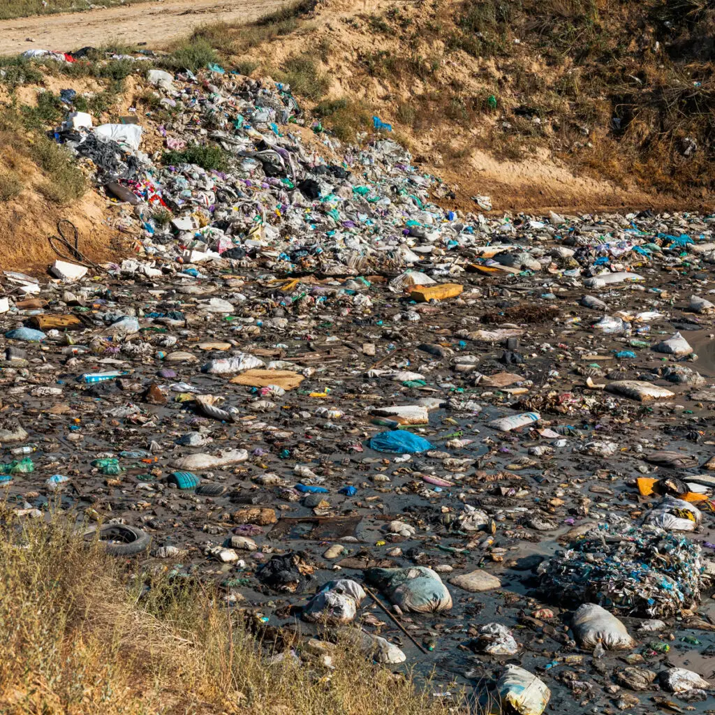 Trash Cleanup in Alpena, MI