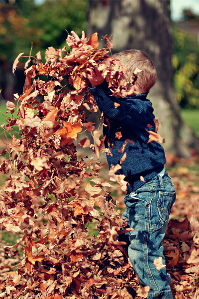 Kid playing in fall leaf pile